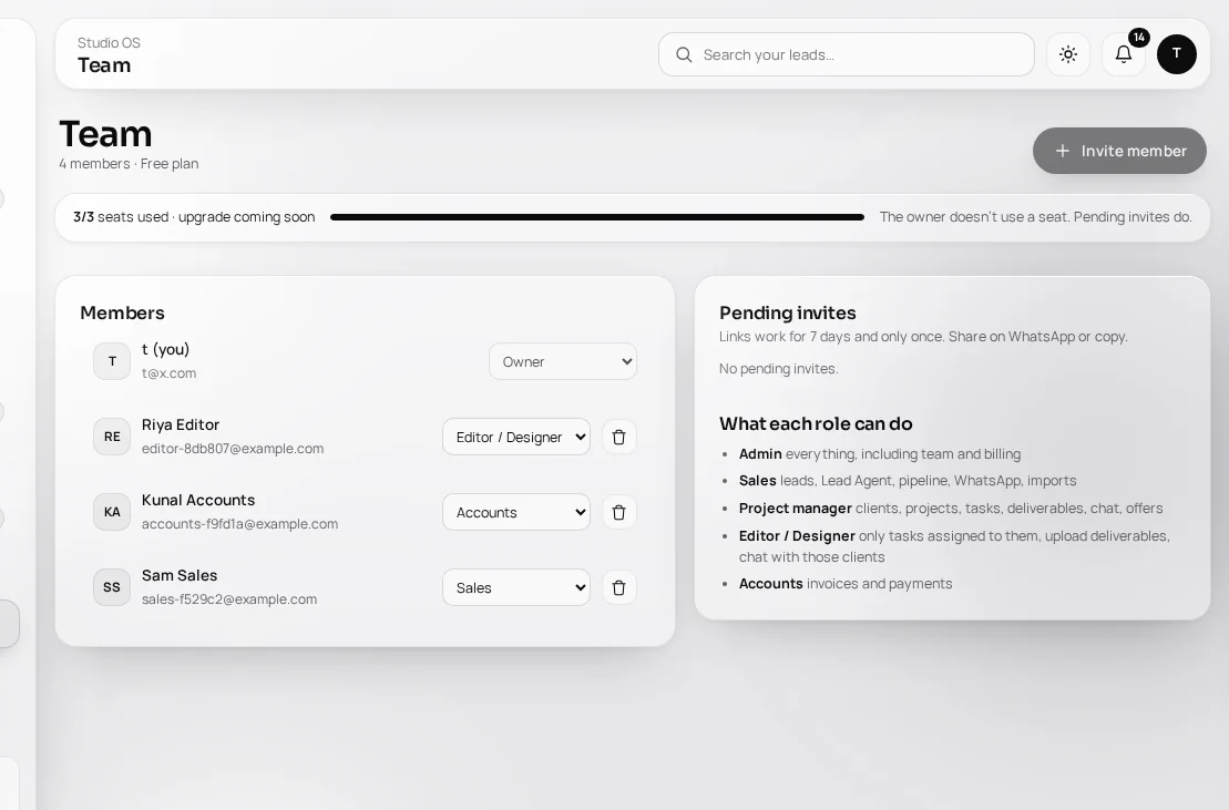 Team members and roles
